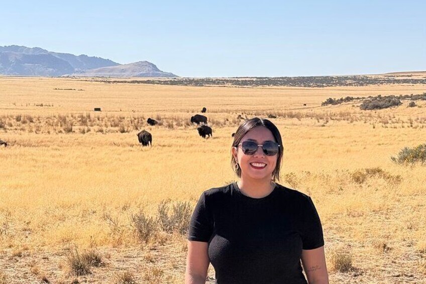 Shared Tour Antelope Island and the Great Salt Lake 