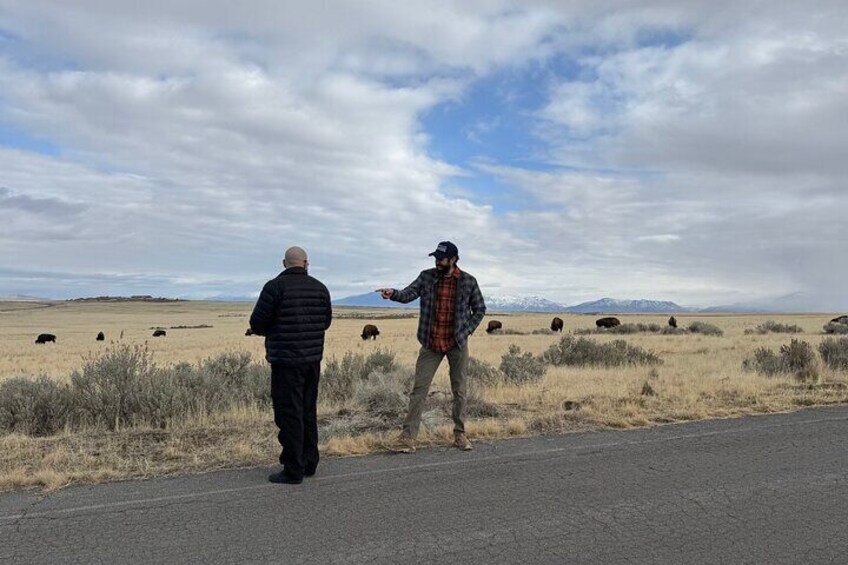 Shared Tour Antelope Island and the Great Salt Lake 