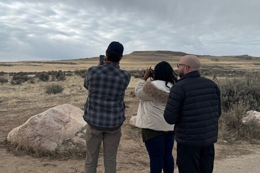 Shared Tour Antelope Island and the Great Salt Lake 