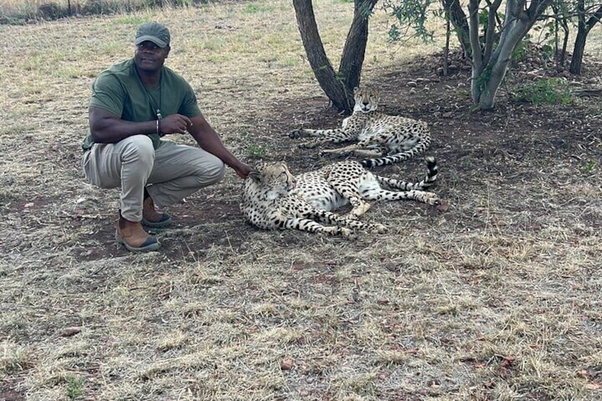 Lion and Cheetah Safari Skip the Line Tour in Pretoria 