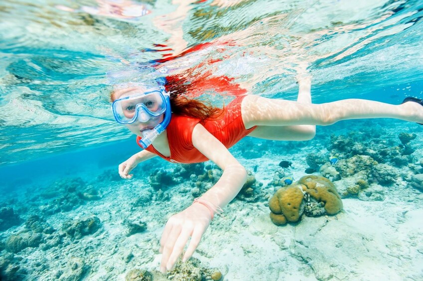 Premium Snorkel Spectacle to Koh Nanyuan & Koh Tao from Koh Phangan