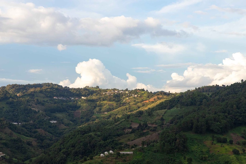 Picture 9 for Activity Chiang Rai: Akha Village Culture Tour, Private with Transfer