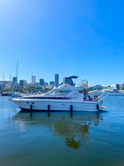 Picture 22 for Activity Private speedboat tour in Rio de Janeiro