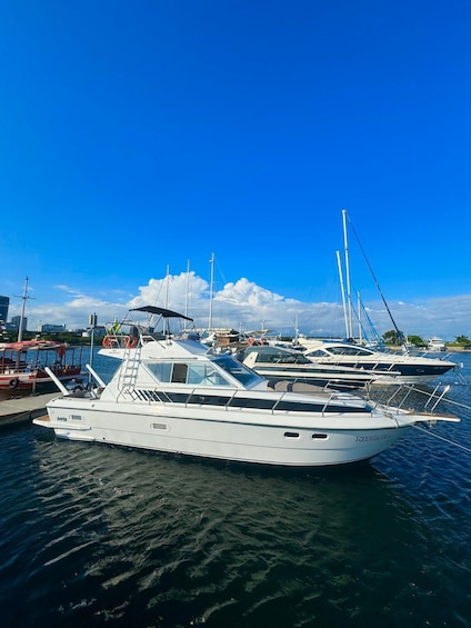 Picture 3 for Activity Private speedboat tour in Rio de Janeiro