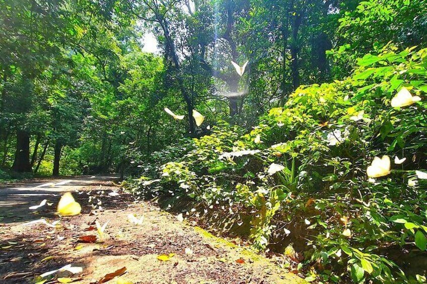 Cuc Phuong National Park - Van Long Day Trip From Hanoi