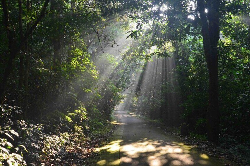 Cuc Phuong National Park - Van Long Day Trip From Hanoi
