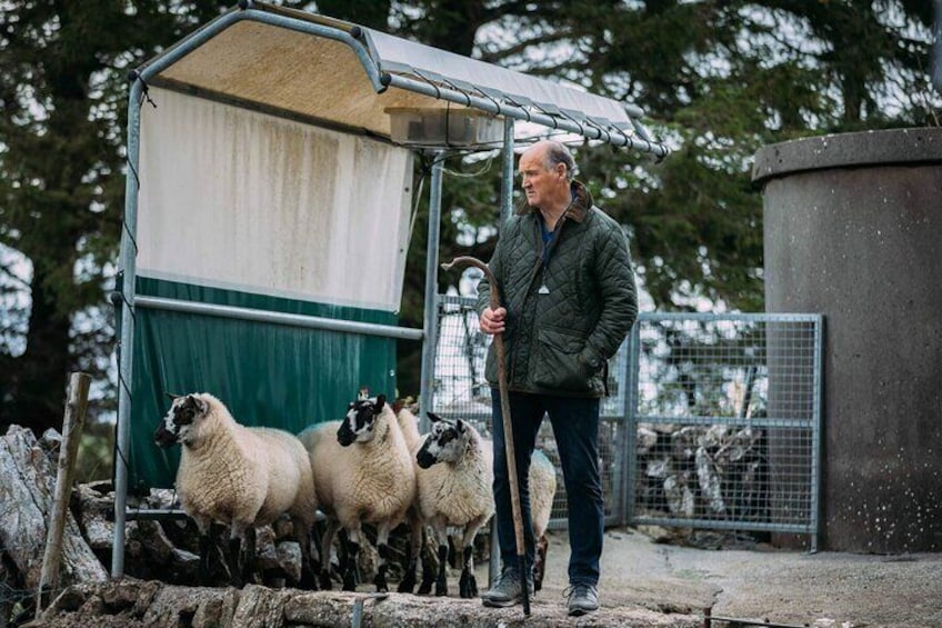 Explore Galway. Sheep Farm, Chocolatier, Perfumery, Seaweed Baths