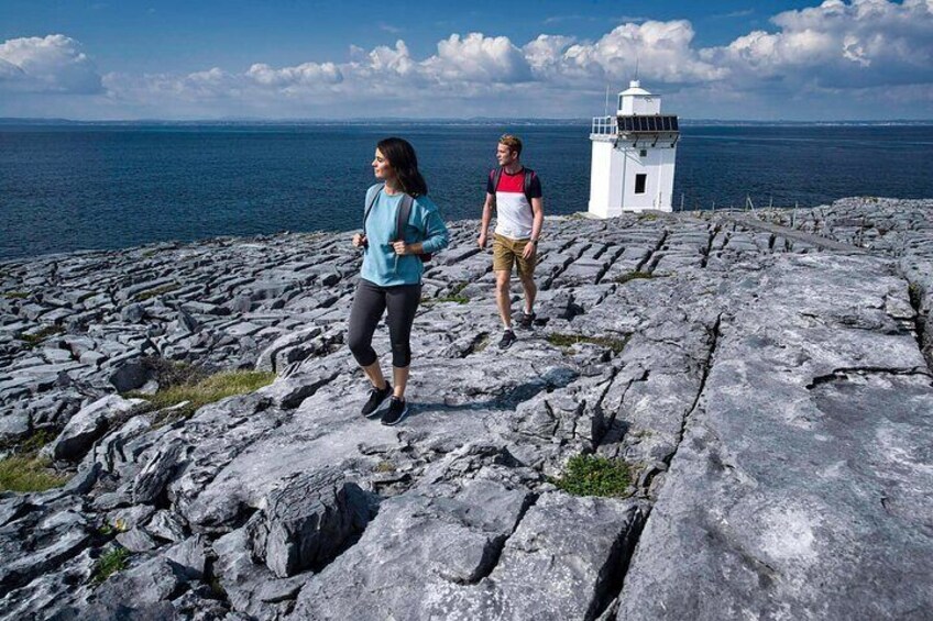 Explore Galway. Sheep Farm, Chocolatier, Perfumery, Seaweed Baths