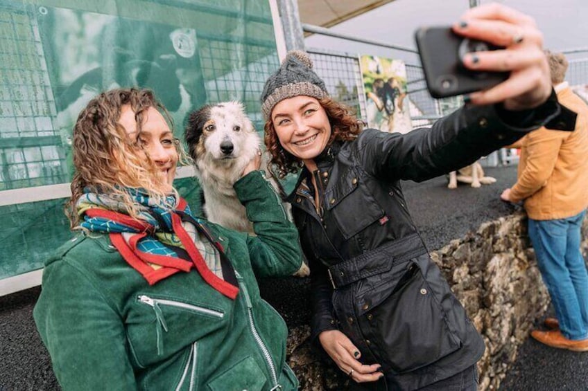 Explore Galway. Sheep Farm, Chocolatier, Perfumery, Seaweed Baths