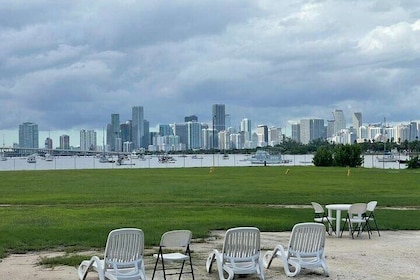Ervaar het beste van Miami in een dagtour