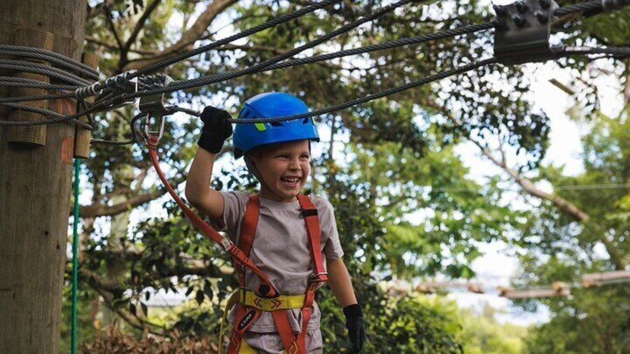 Treetops Adventure The Hills Junior Ropes Course