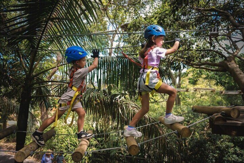 Treetops Adventure The Hills Junior Ropes Course