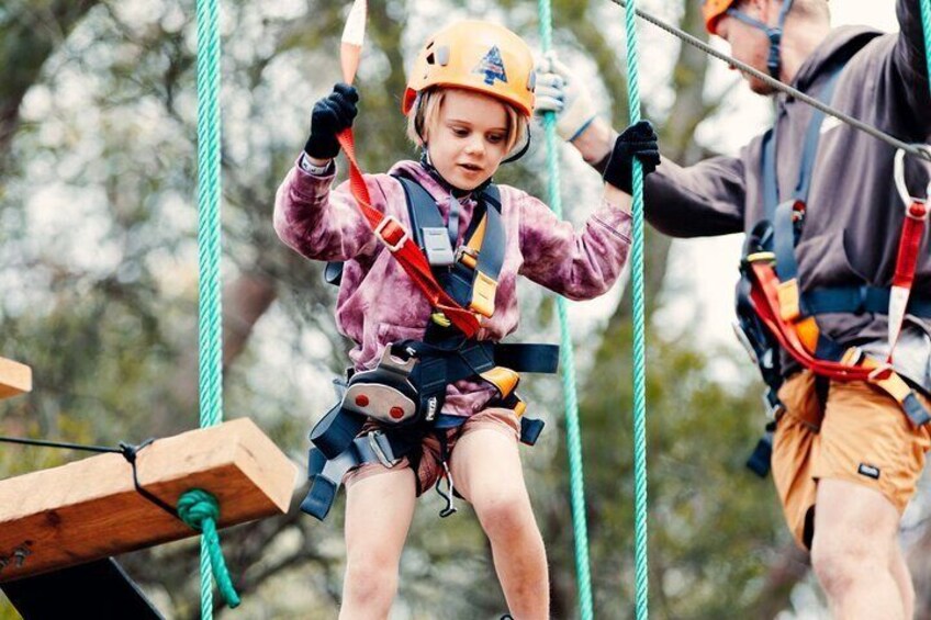 Treetops Adventure The Hills Junior Ropes Course