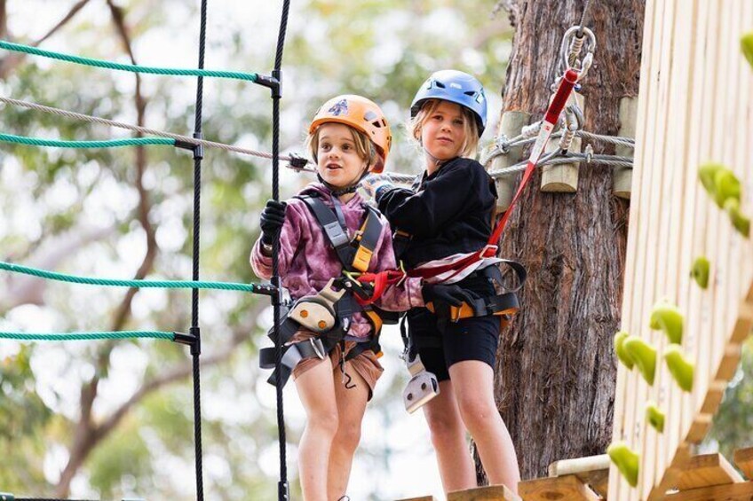 Treetops Adventure The Hills Junior Ropes Course