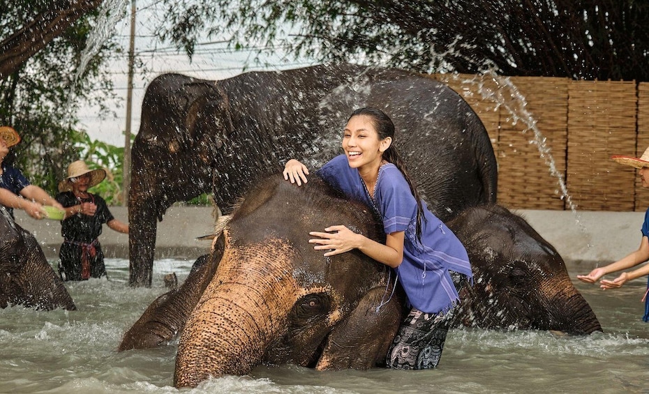 Picture 31 for Activity Bangkok: Ethical Elephant Care Half-Day with Transfers