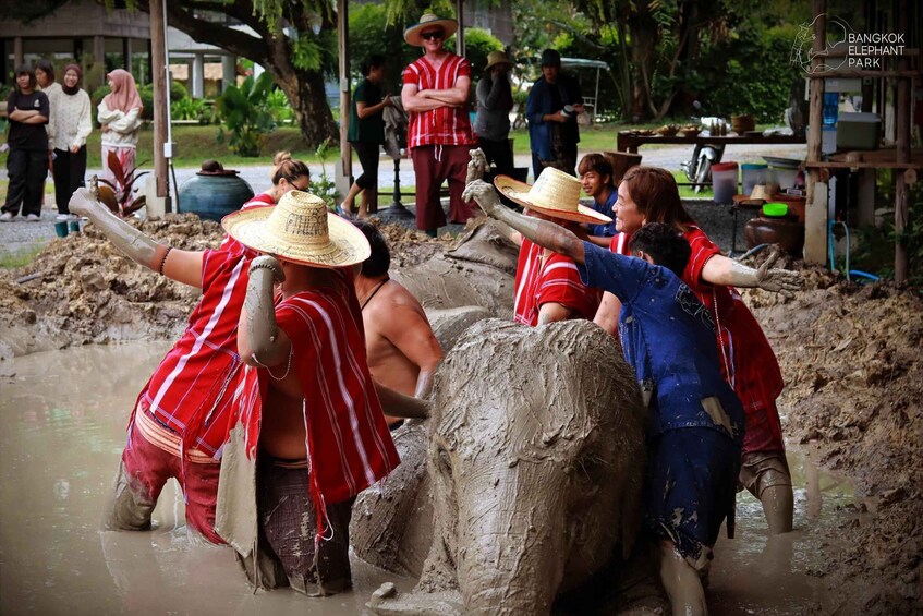 Picture 4 for Activity Bangkok: Ethical Elephant Care Half-Day with Transfers