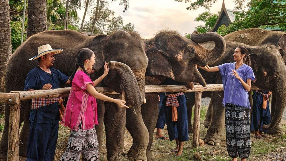 Picture 1 for Activity Bangkok: Ethical Elephant Care Half-Day with Transfers