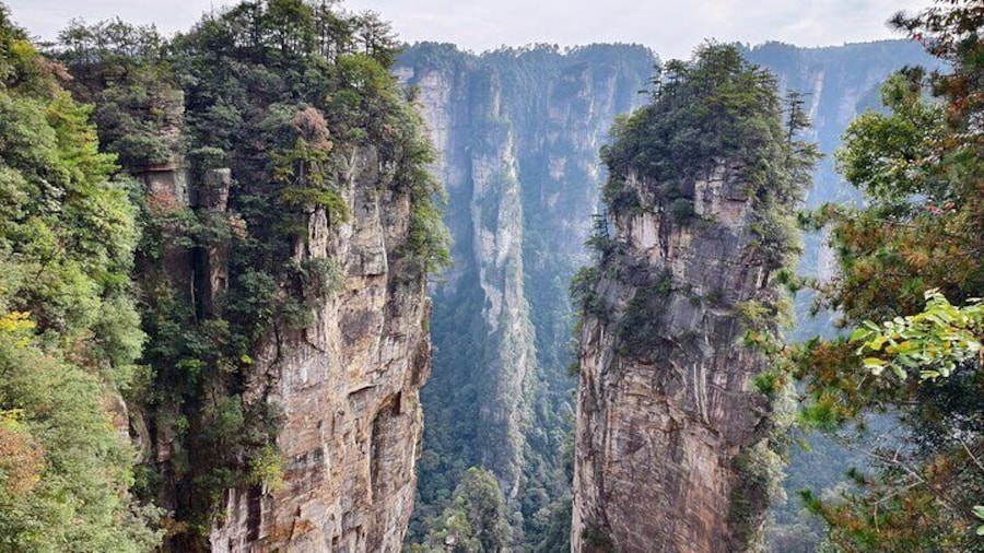 Zhangjiajie National Forest Park Tickets Booking