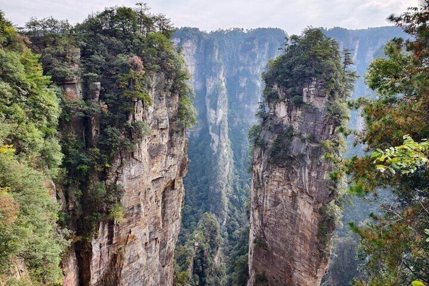 Zhangjiajie National Forest Park Tickets Booking