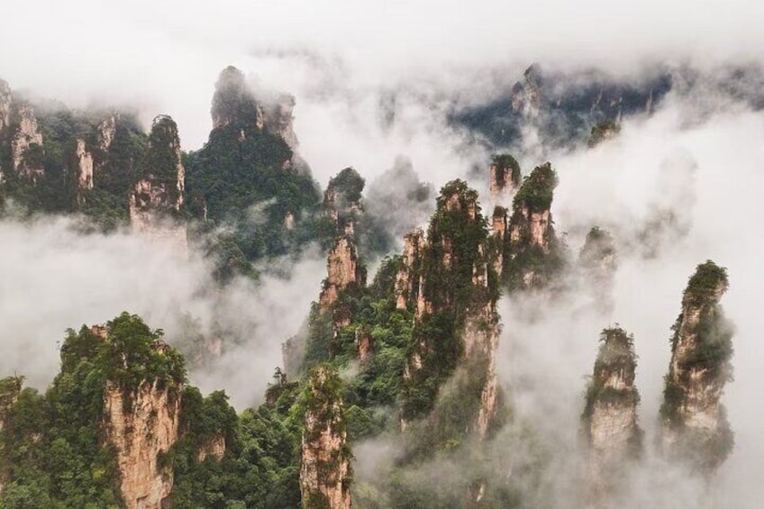 Zhangjiajie National Forest Park Tickets Booking