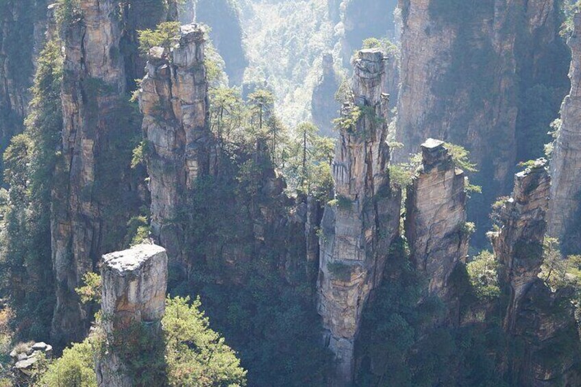 Zhangjiajie National Forest Park Tickets Booking