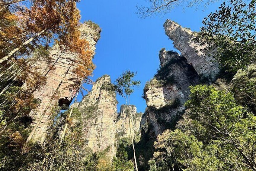 Zhangjiajie National Forest Park Tickets Booking
