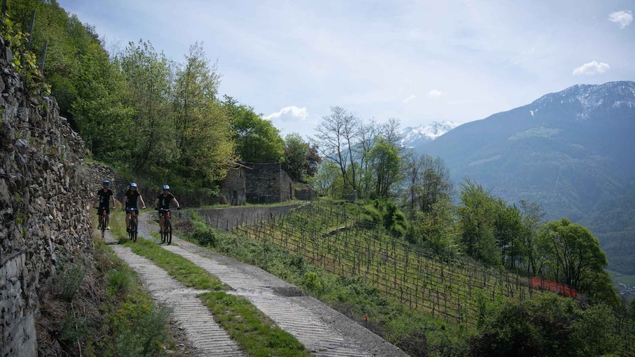 E-Bike Wine Tour