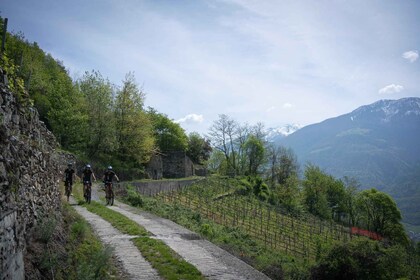 E-Bike Wine Tour