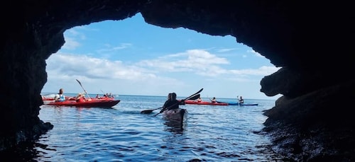 Oddicombe: Wildlife, Bushcraft and Sea Cave Kayak Safari