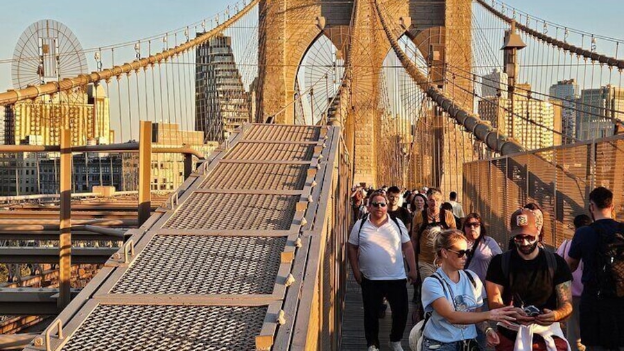 Brooklyn Bridge Dumbo and Coney Island Tour in New York