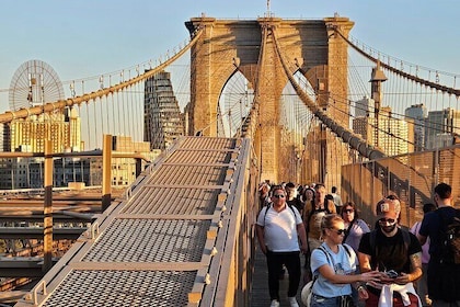 Brooklyn Bridge Dumbo and Coney Island Tour in New York