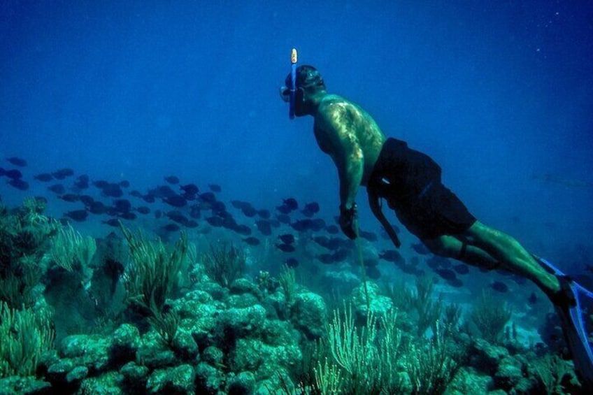 Sailing and Snorkeling Tour in the British Virgin Island