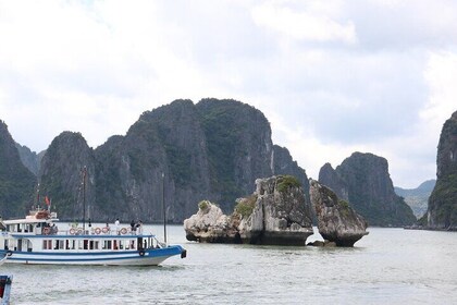 Ontdek 04 uur Halong Bay Dag Cruise Shore Excursie