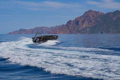 Scandola Girolata The Coves of Piana in Go Fast 10 Pax