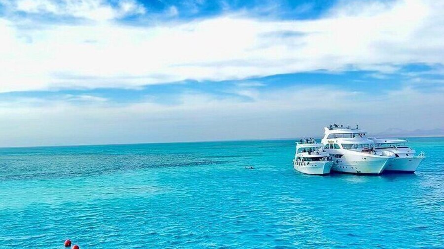 Explore White Island & Ras Mohamed with Lunch : Sharm El Sheikh