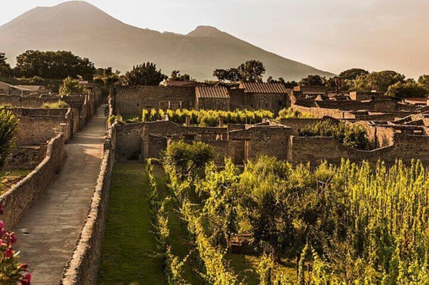 Glimpse of a street in Ancient Pompeii.