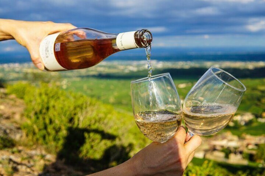 Small Group tour to Stellenbosch with wine tasting
