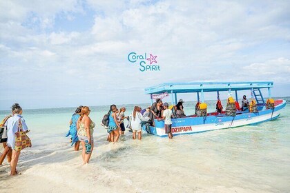 Glass Bottom Boat Tour