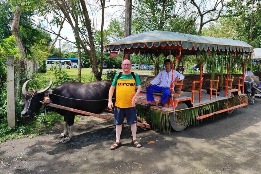 Villa Escudero: Cultural Show & Waterfall Buffet Experience