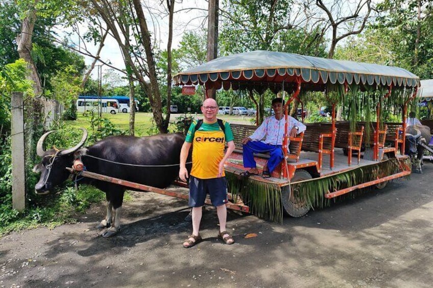 Villa Escudero: Cultural Show & Waterfall Buffet Experience