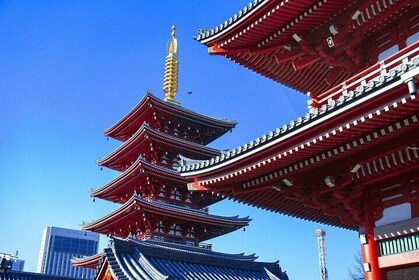 體驗 Asakusa 和 Kappabashi Kitchen Town