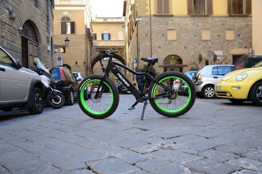 Florence E Bike Tour with Michelangelo Square