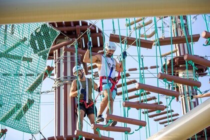 Sunshine Coast High Ropes Course