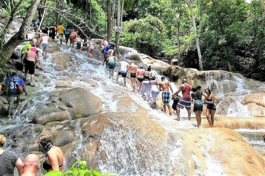 Dunn's River Falls & Park and Green Grotto Caves Combo