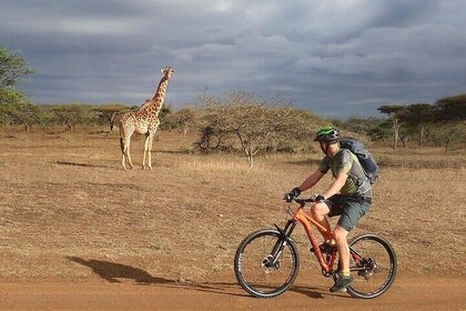 Day Trip to Hells Gate and Boat Ride in Lake Naivasha
