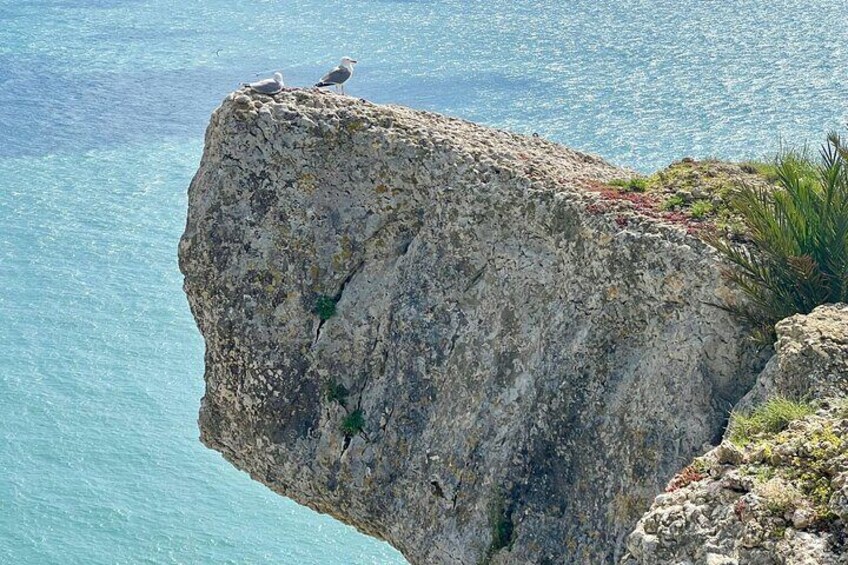 Lisbon Small Group Guided Day Tour to Fatima Nazare and Obidos