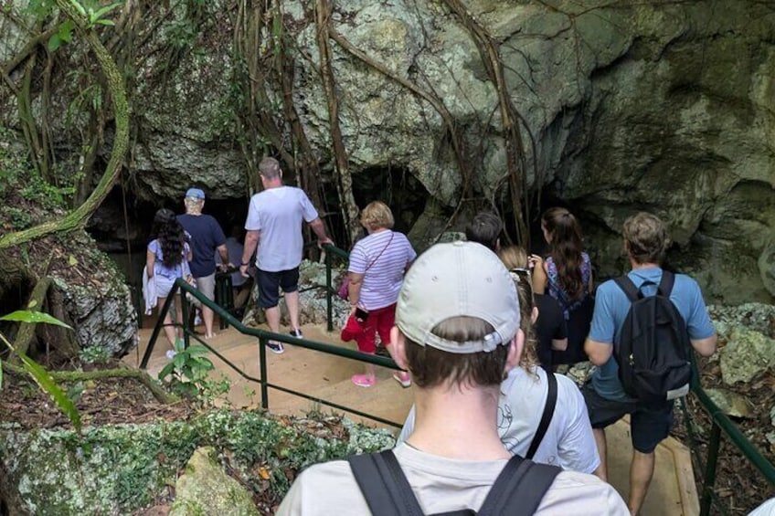Cave Horseback Ride Distillery and Beach Guided Experience