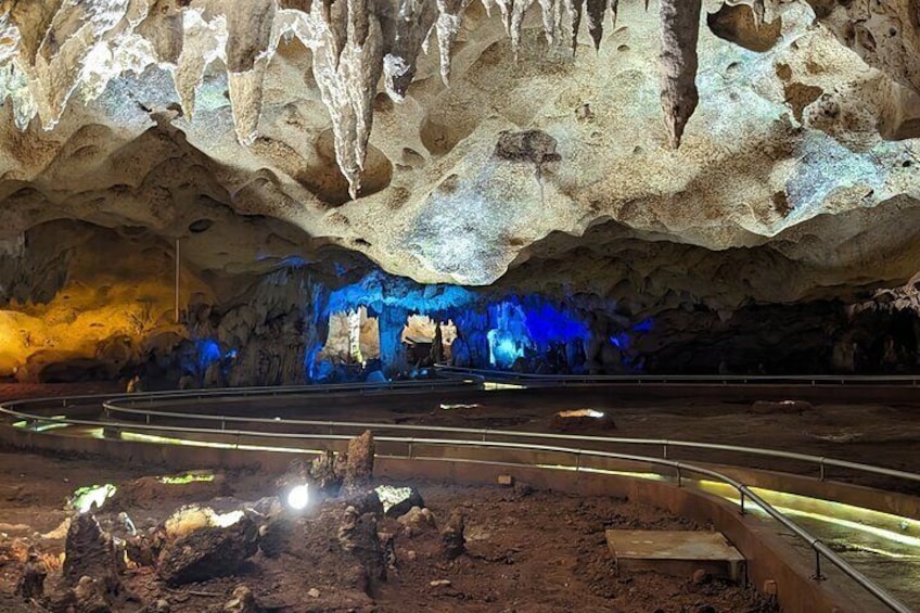 Cave Horseback Ride Distillery and Beach Guided Experience