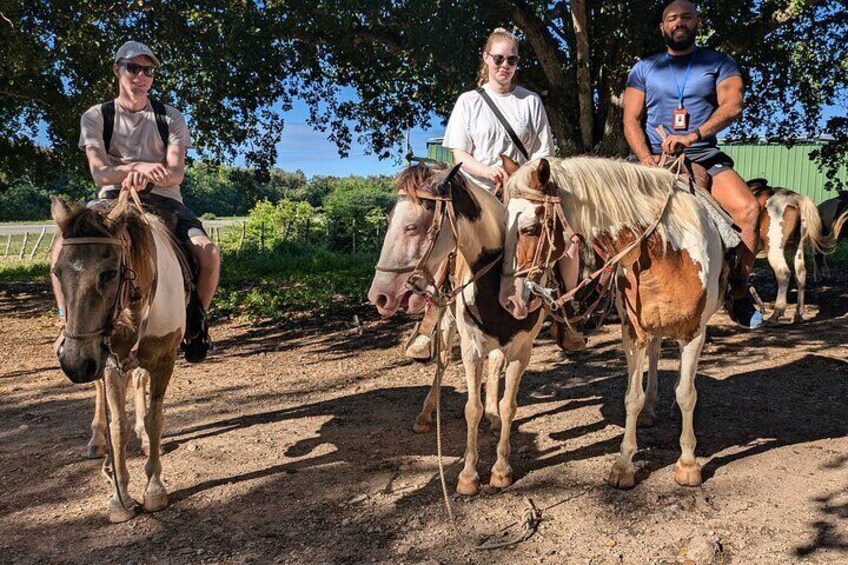 Cave Horseback Ride Distillery and Beach Guided Experience