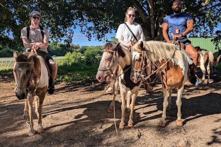 Cave Horseback Ride Distillery and Beach Guided Experience